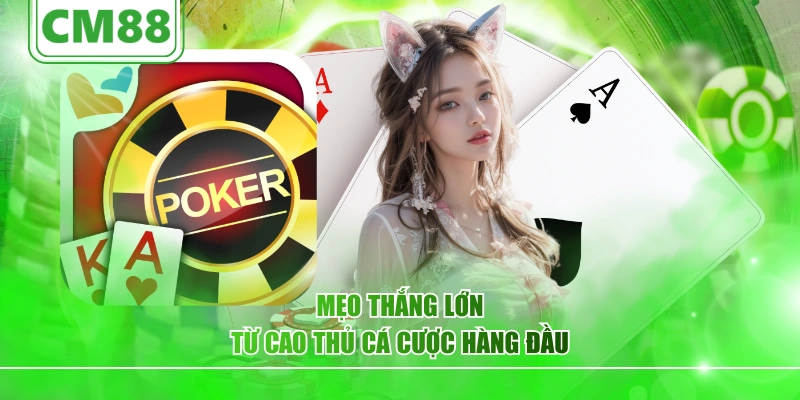 Mẹo thắng lớn từ cao thủ cá cược hàng đầu